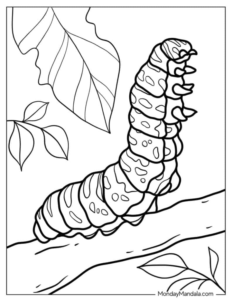 Caterpillar coloring pages free pdf printables