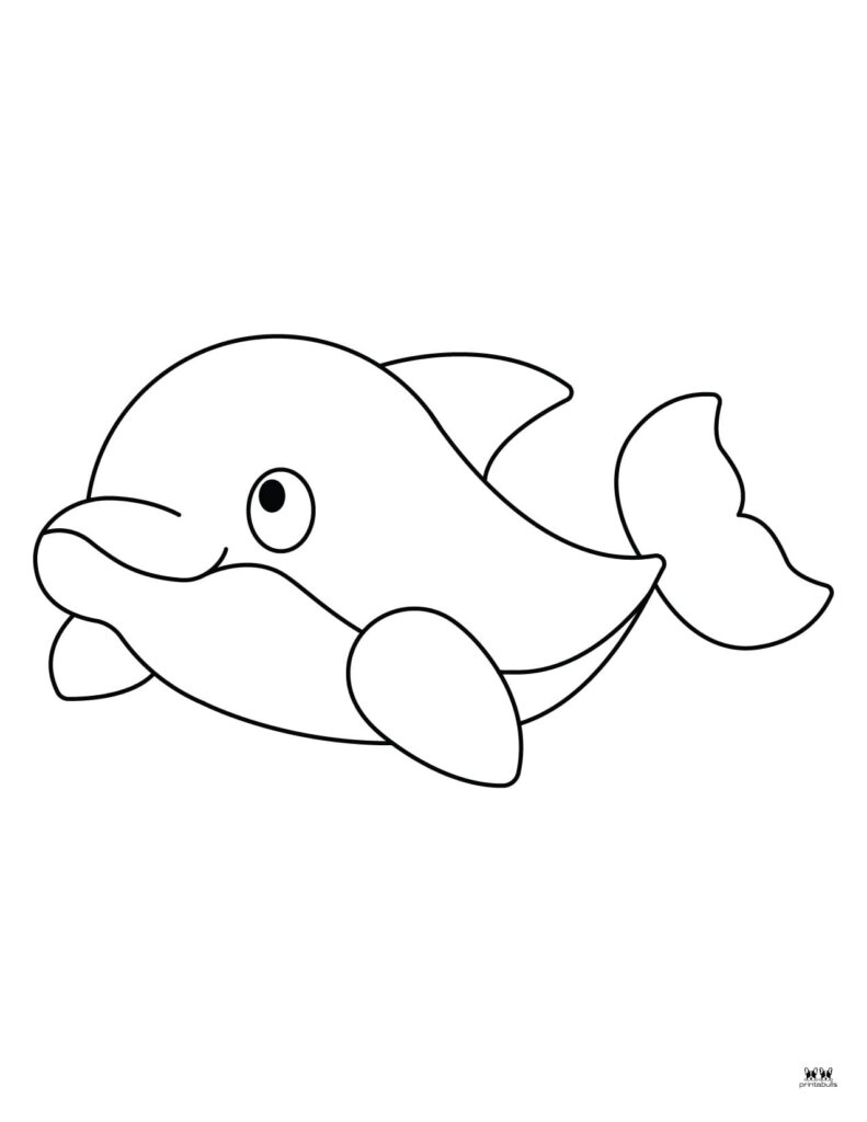 Dolphin coloring pages templates