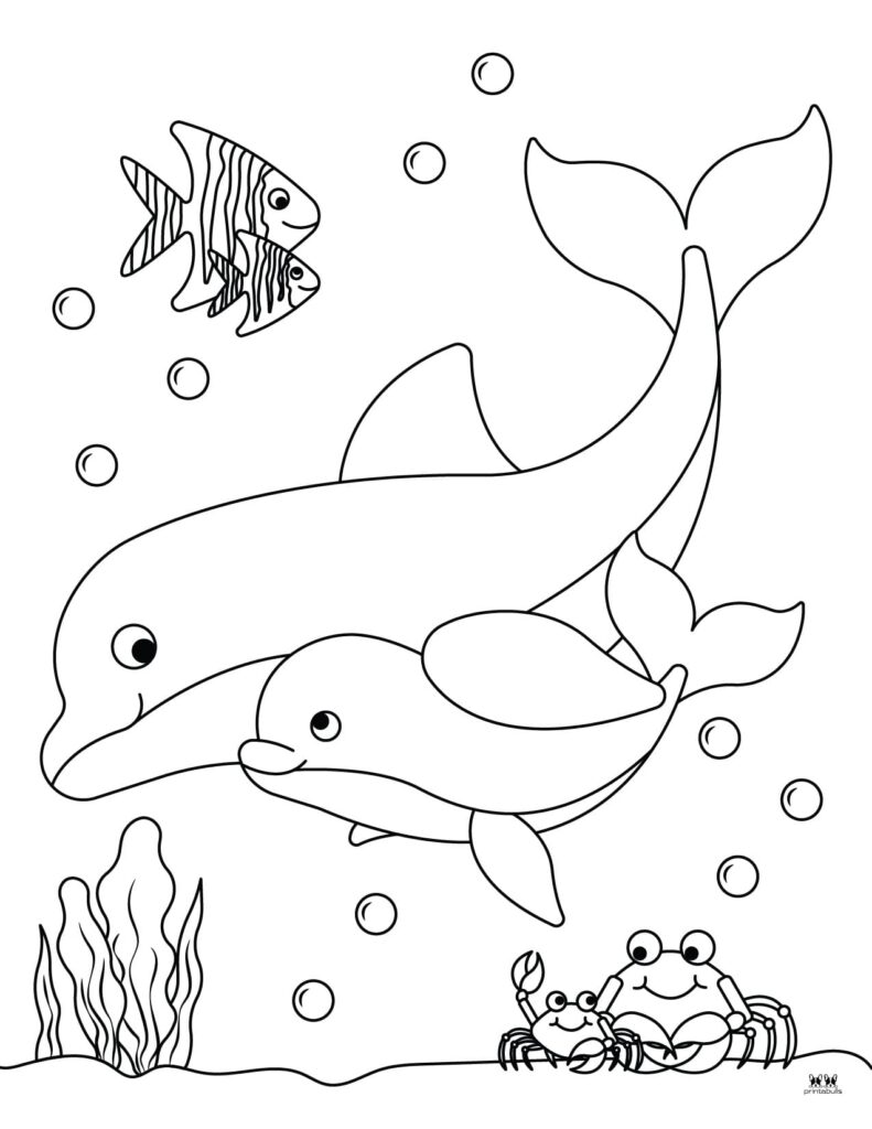 Dolphin coloring pages templates