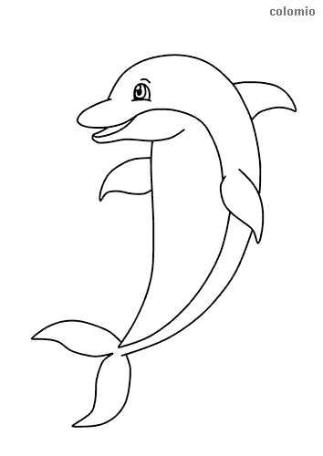 Dolphins coloring pages free printable dolphin coloring sheets