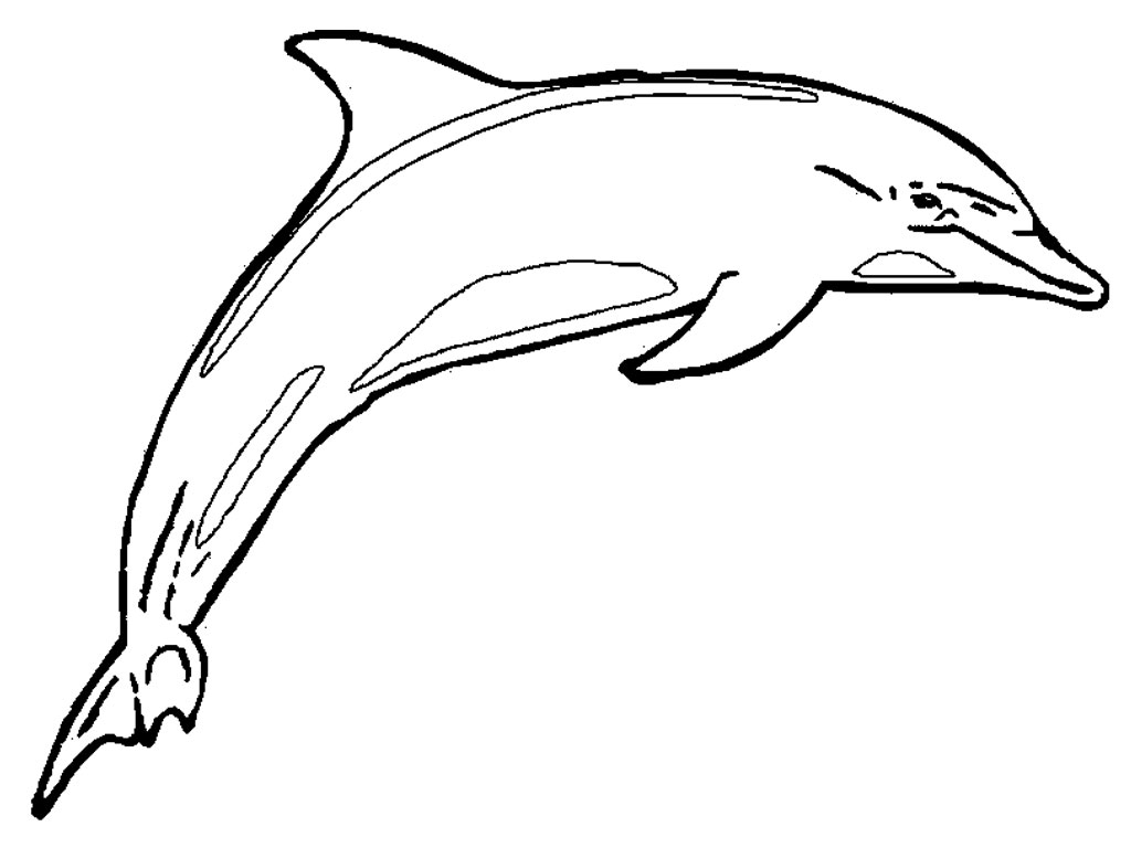 Free printable dolphin coloring pages for kids