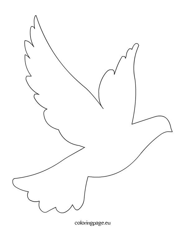 Dove template coloring page