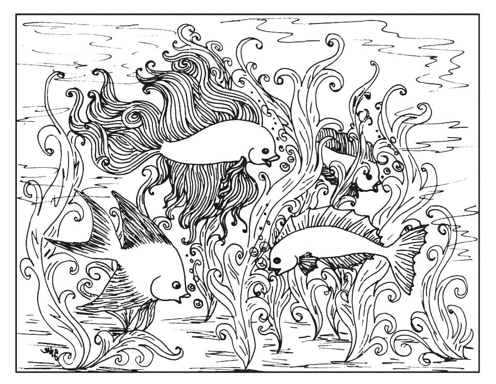 Aquarium coloring pages