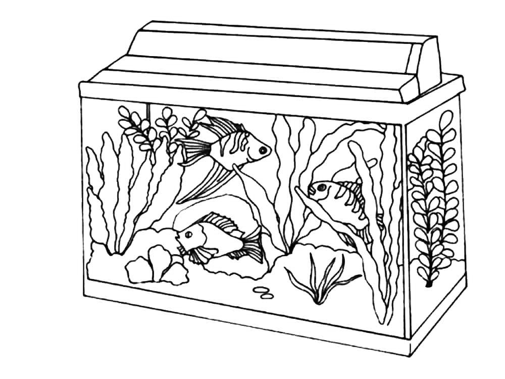 Aquarium coloring pages