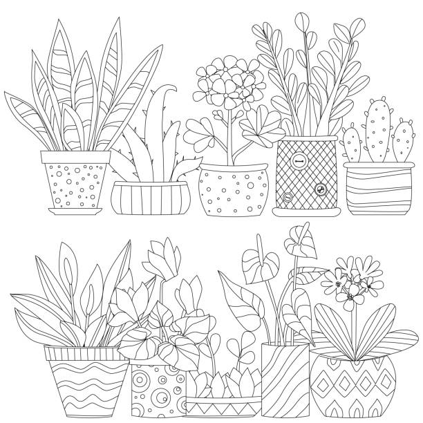 Flower pot coloring page stock illustrations royalty