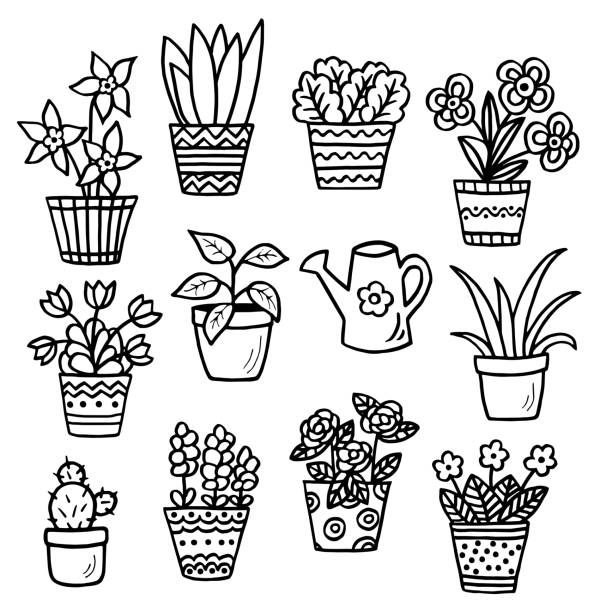 Flower pot coloring page stock illustrations royalty