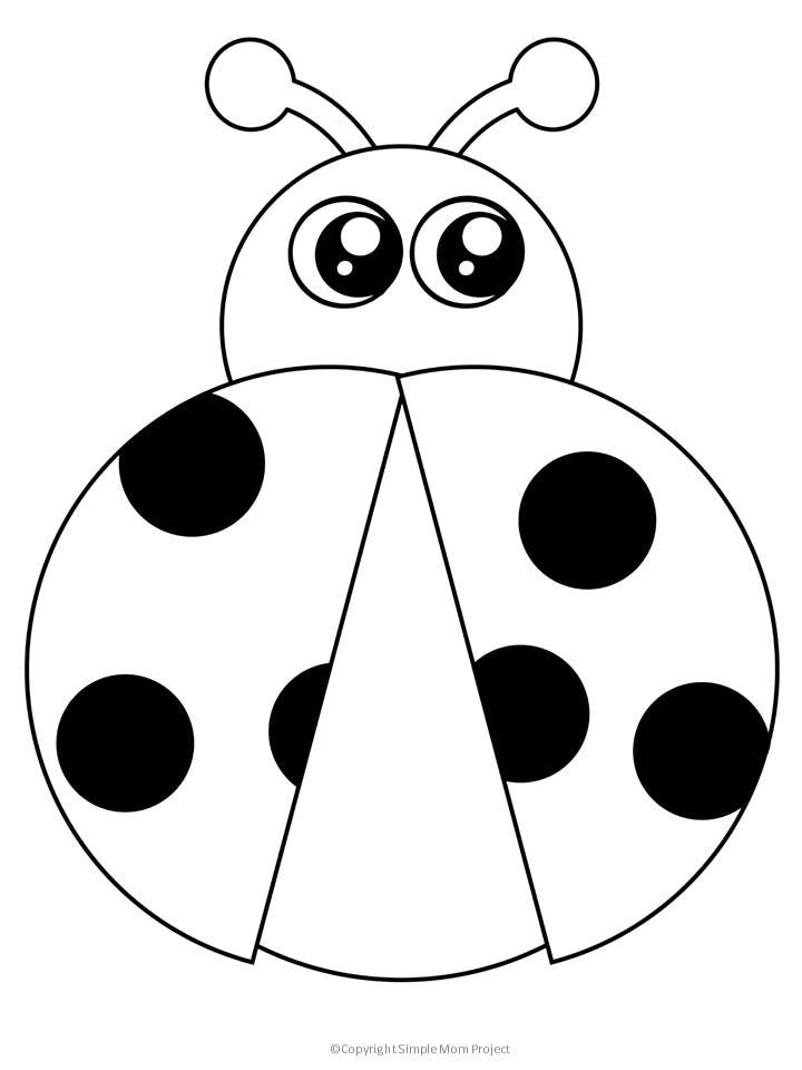 Free printable ladybug template ladybug coloring page bug coloring pages bee coloring pages