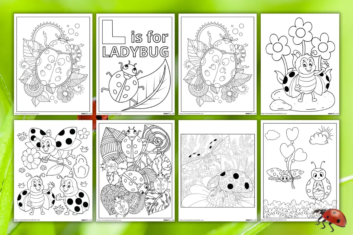 Free ladybug coloring pages for kids