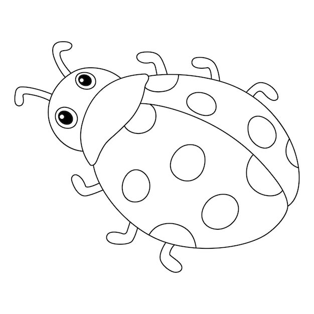 Premium vector spring ladybug isolated coloring page for kids