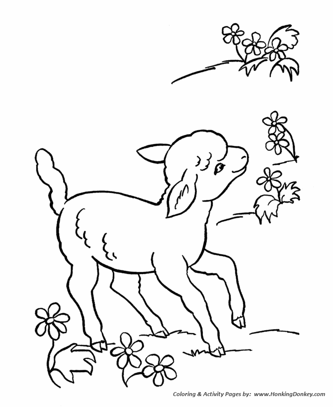 Farm animal coloring pages printable lamb sheep coloring page and kids activity sheet