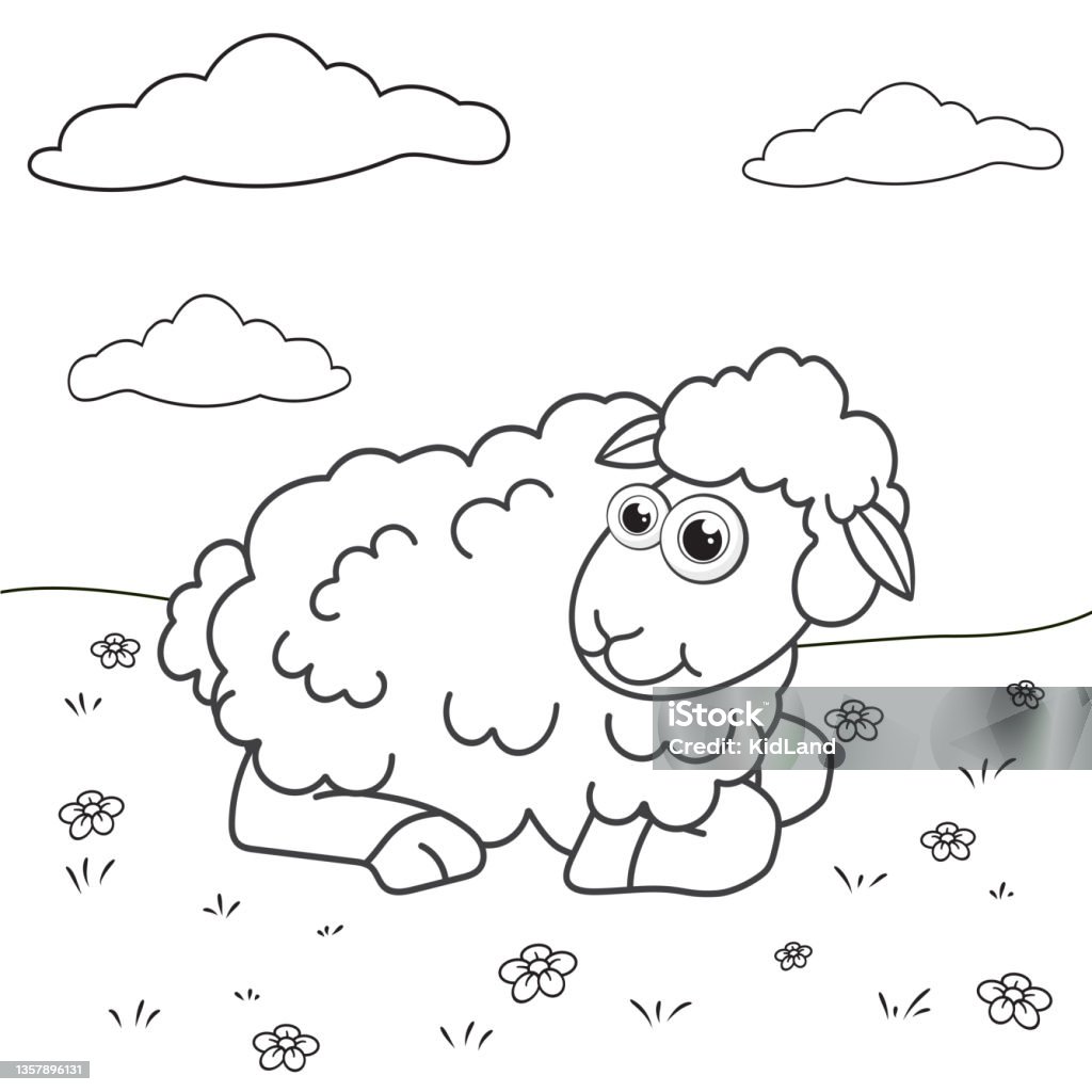 Colorless cartoon lamb on colorful lawn coloring pages template page for coloring book of funny sheep or ewe for kids practice worksheet or antistress page for child cute outline education game stock