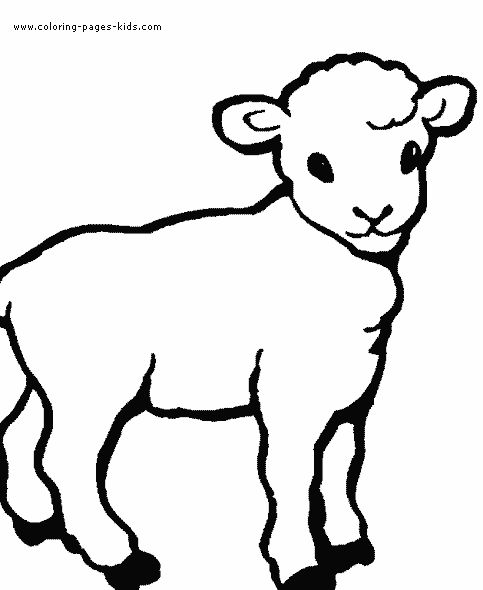 Adorable lamb coloring page