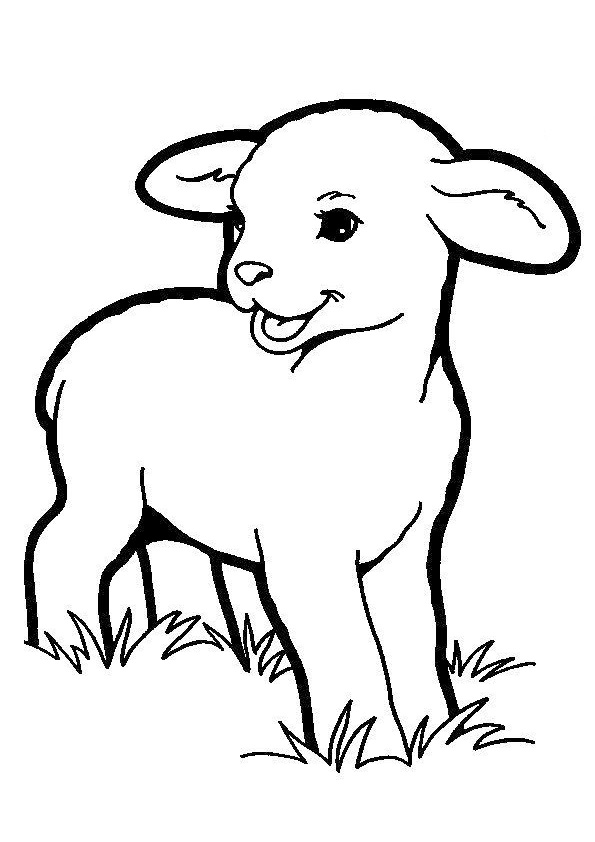 Coloring pages free printable sheep coloring pages