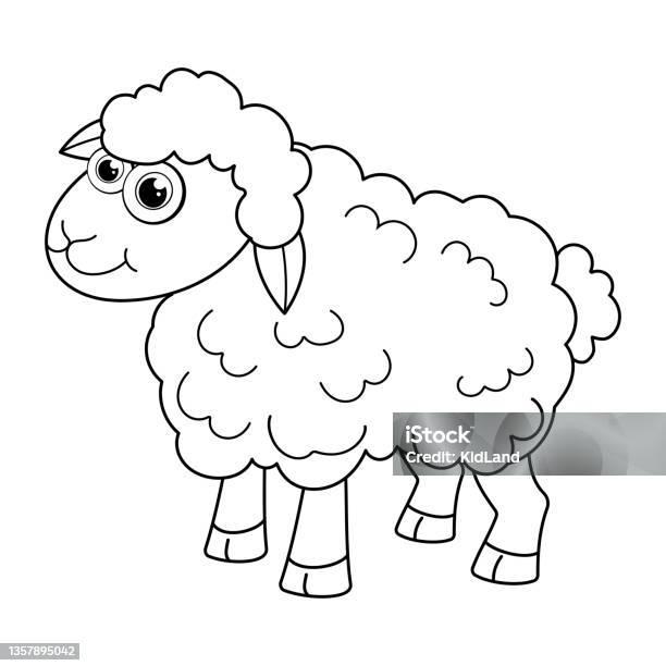 Colorless cartoon lamb smiles coloring pages template page for coloring book of funny sheep or ewe