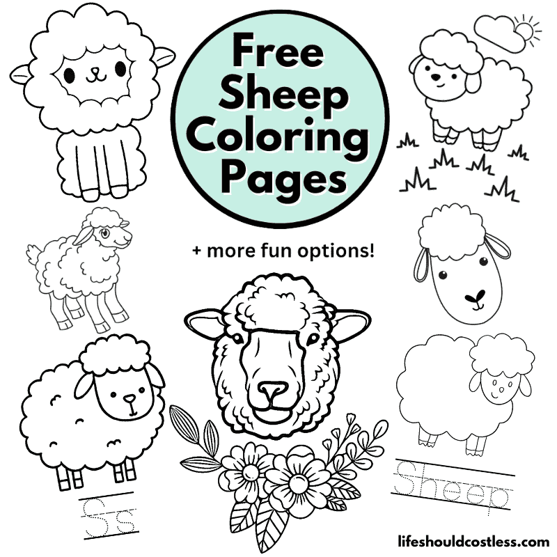 Sheep coloring pages free printable pdf templates