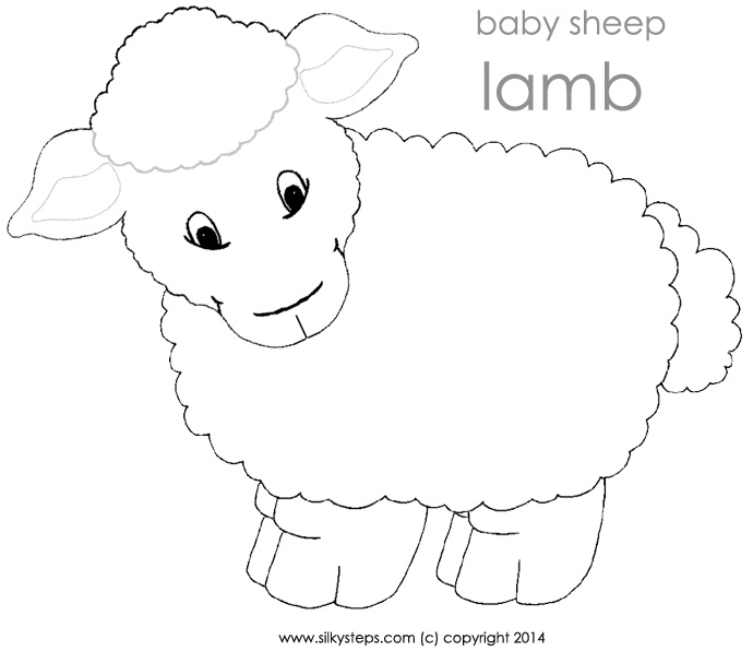 Sheep lamb outline template