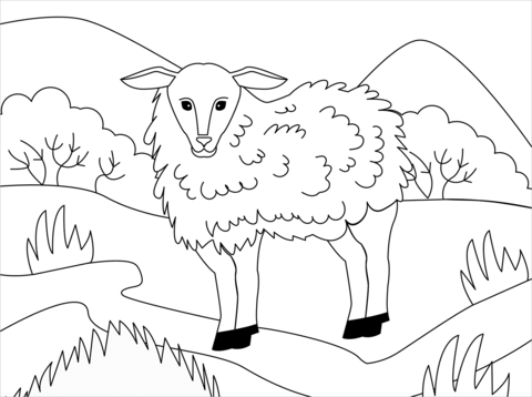 Lamb coloring page free printable coloring pages