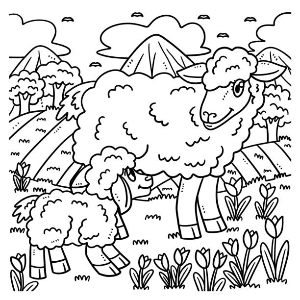 Lamb coloring pages stock illustrations royalty