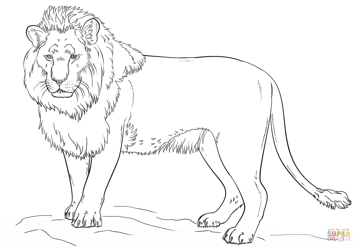 Standing lion coloring page free printable coloring pages