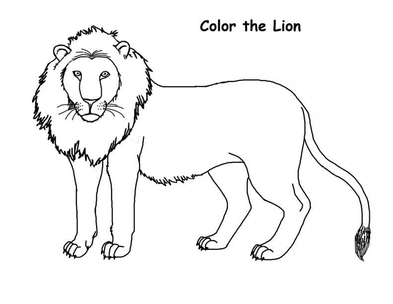 Free printable lion coloring pages for kids