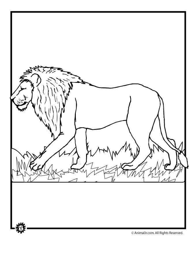 Animal jr lion coloring page