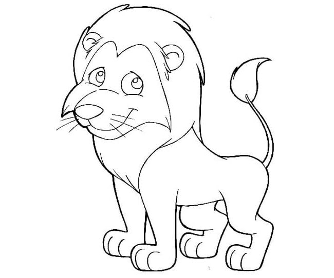 Lion