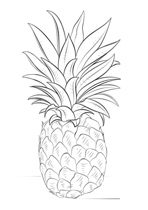 Coloring pages printable pineapple coloring page
