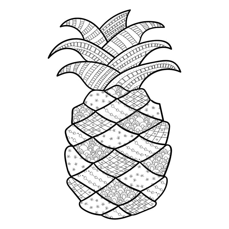 Pineapple coloring page stock illustrations â pineapple coloring page stock illustrations vectors clipart