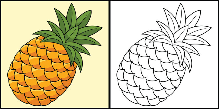 Pineapple clip art images â browse photos vectors and video