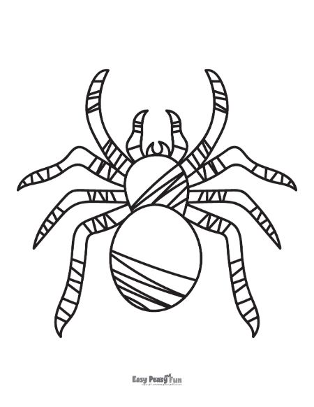 Printable spider coloring pages â sheets