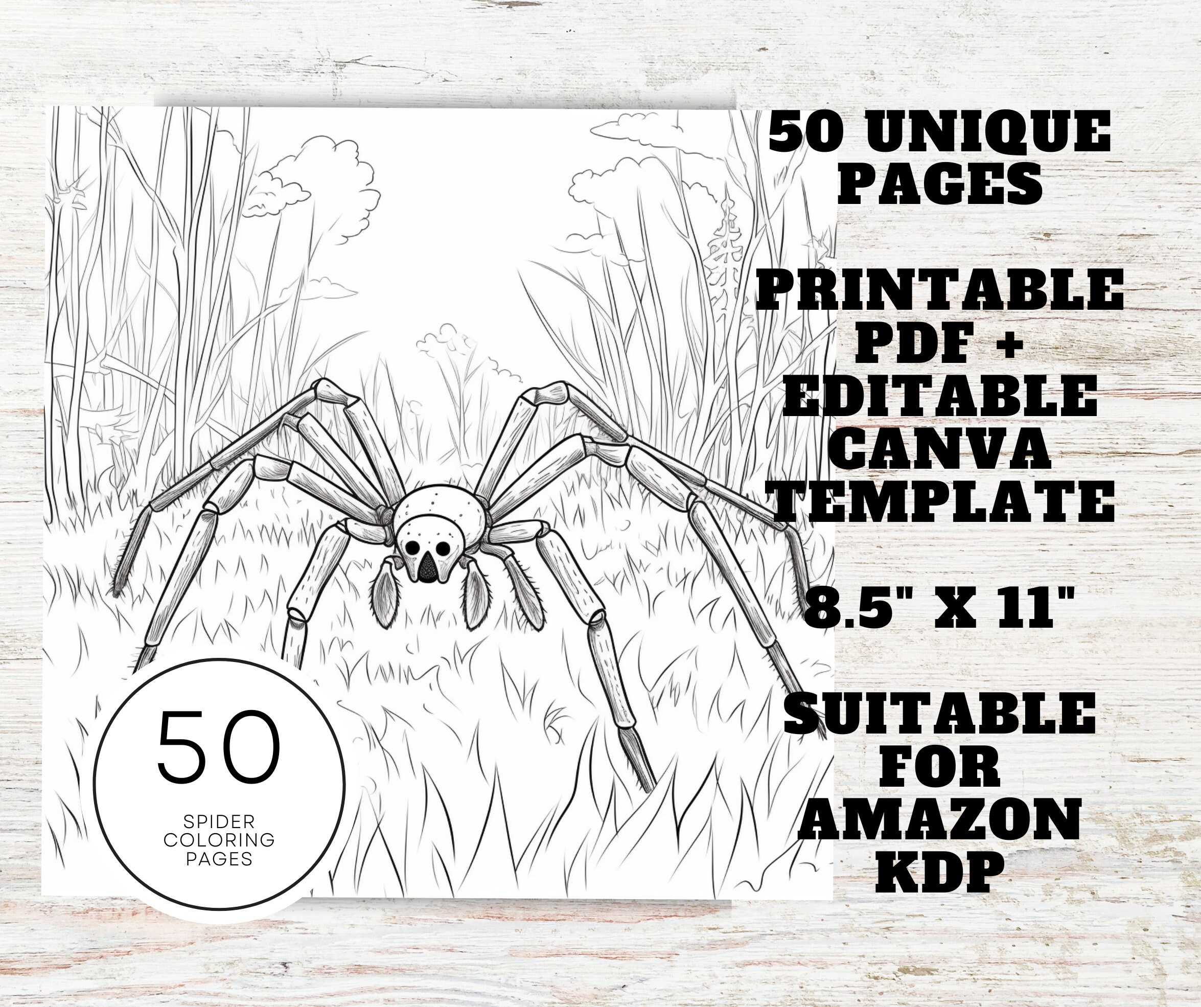 Kdp interior spider coloring pages x printable pdf canva template spider coloring sheets mercial use coloring book