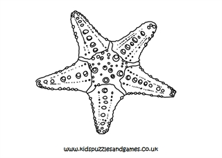 Starfish louring page
