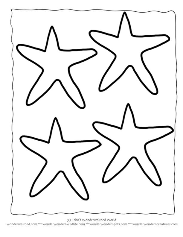 Printable starfish template echos animal outlines for ocean crafts starfish template ocean crafts ocean animal crafts