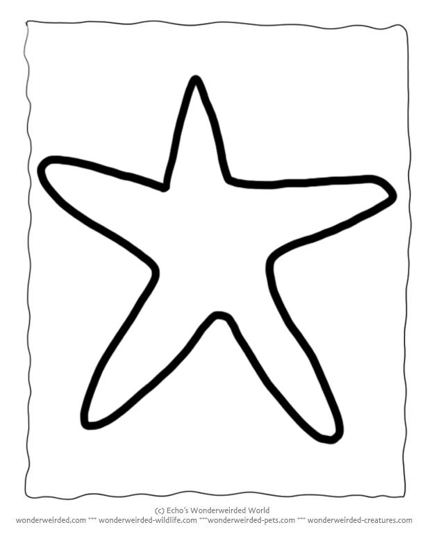 Printable starfish template animal outlines for ocean crafts coloring pages ocean crafts starfish template animal outline