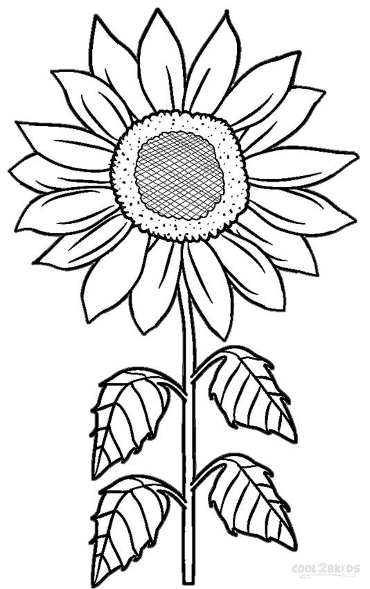 Printable sunflower coloring pages for kids girassol desenho desenho do girassol padrãµes em arte de correntes