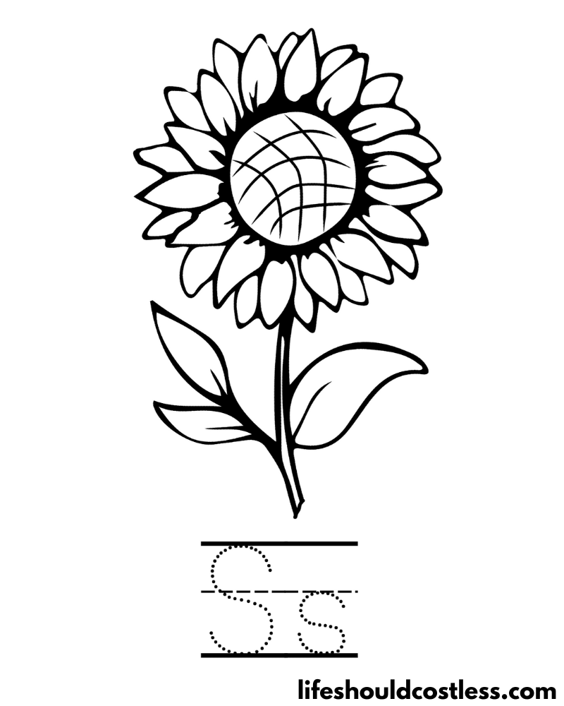 Sunflower coloring pages free printable pdf templates