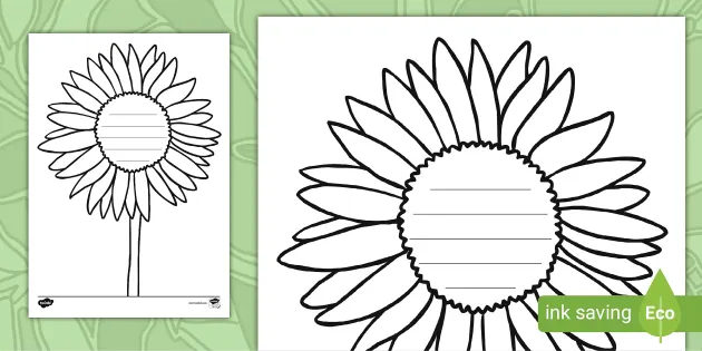 Sunflower writing template teacher made