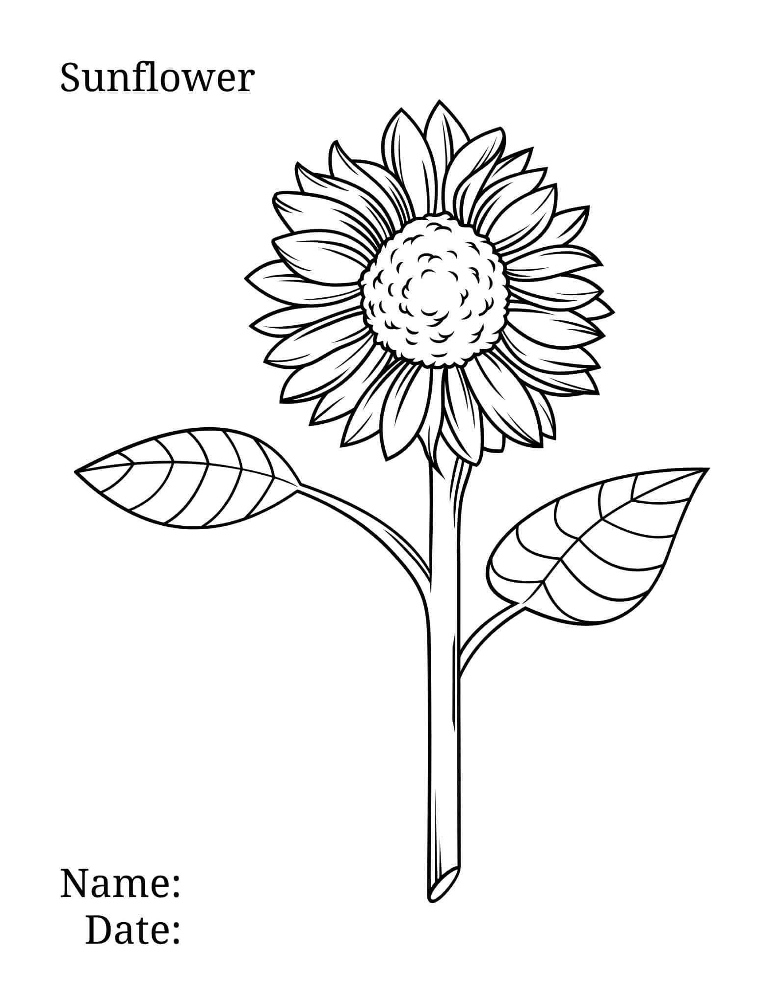 Sunflower coloring page ð ð brighten your day with floral fun