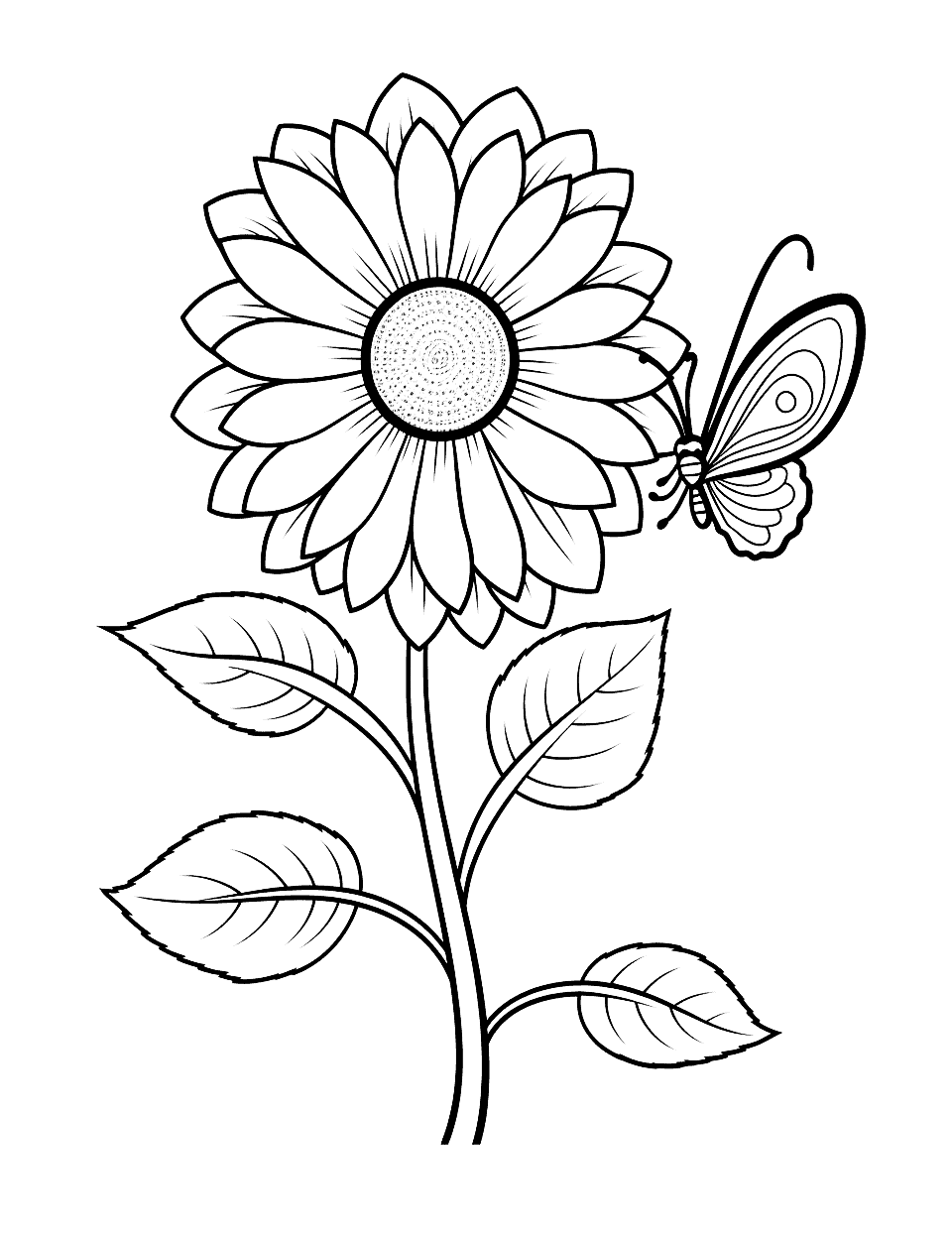 Flower coloring pages free printable sheets