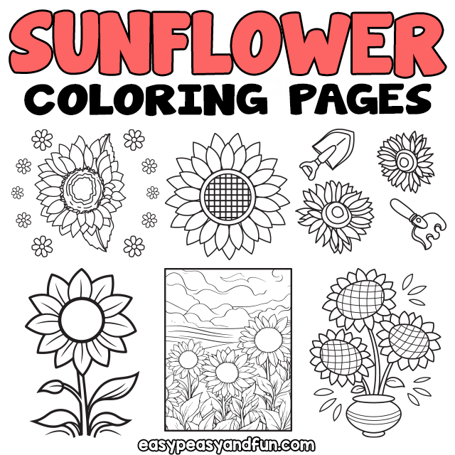 Printable sunflower coloring pages â sheets