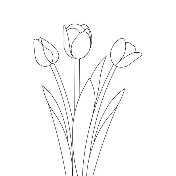 Tulip line art flower coloring page design for printing template continuous black stroke stock illustration