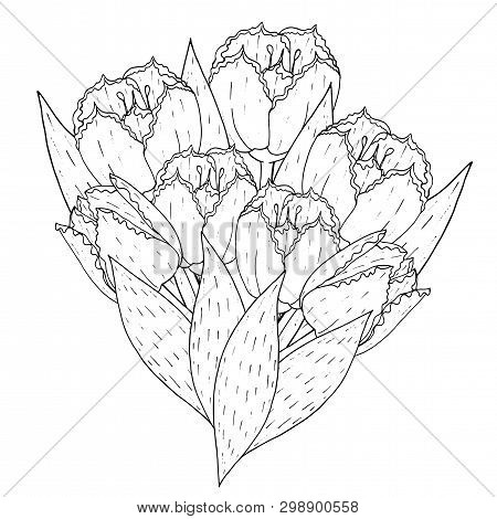 Floral template tulip vector photo free trial bigstock