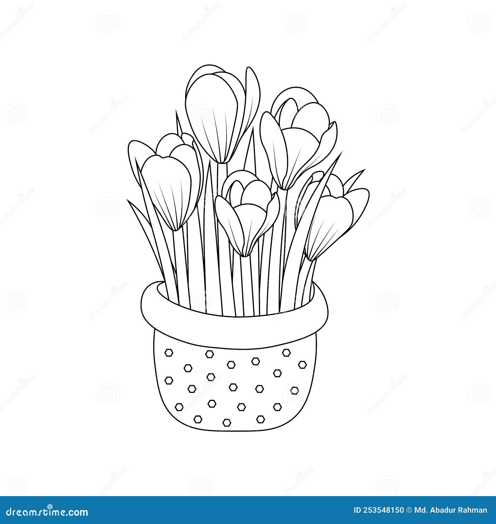 Crocus flower coloring page hand drawn line art design with decorative flower vase stock vector