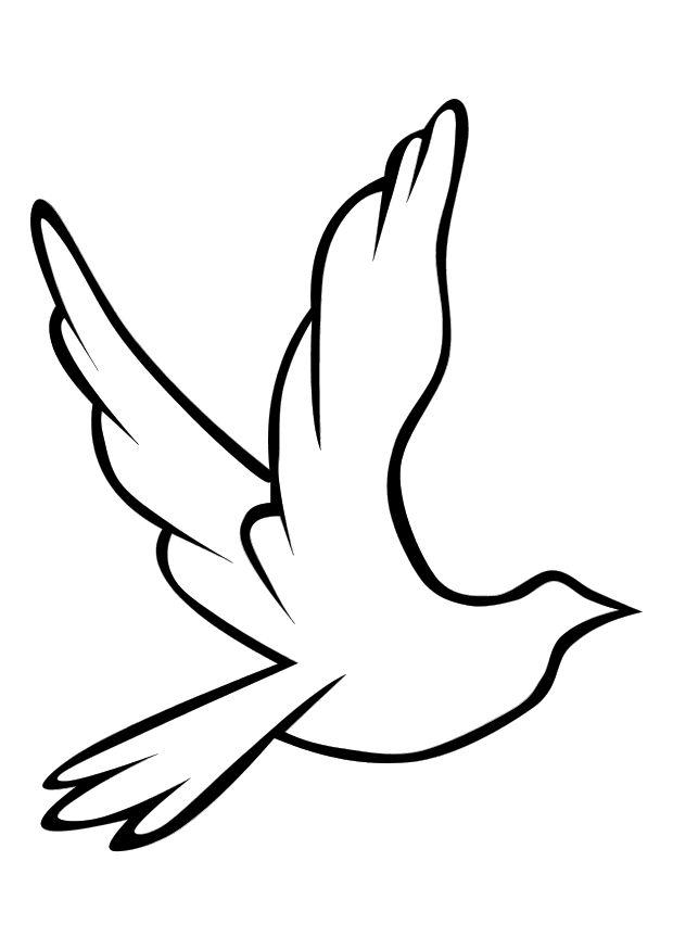 Dove coloring pages