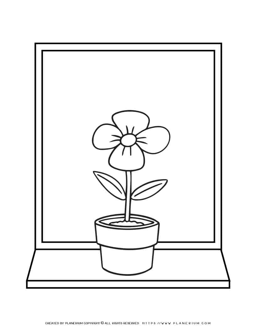 Flower in a pot on windowsill