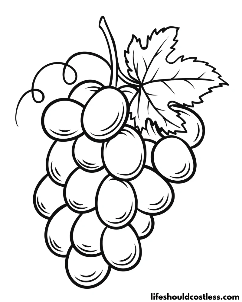 Grape coloring pages free printable pdf templates