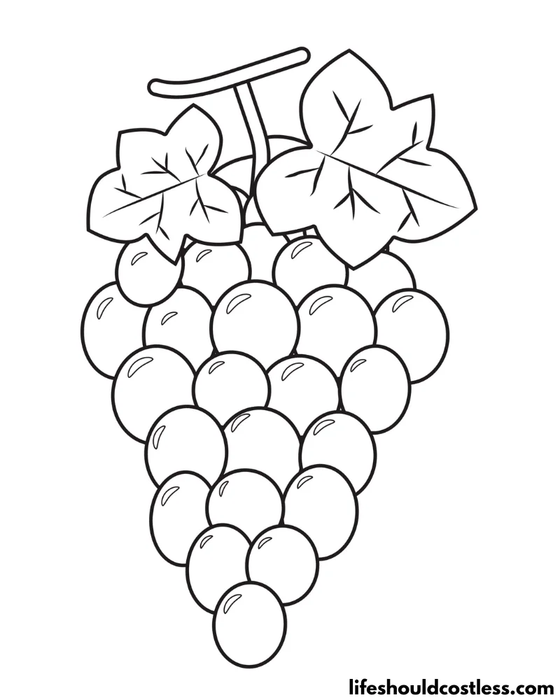 Grape coloring pages free printable pdf templates