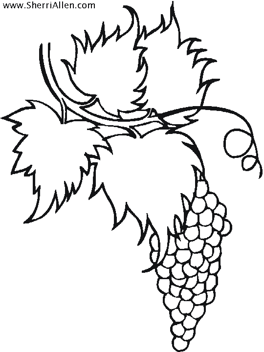 Free fruit coloring pages from