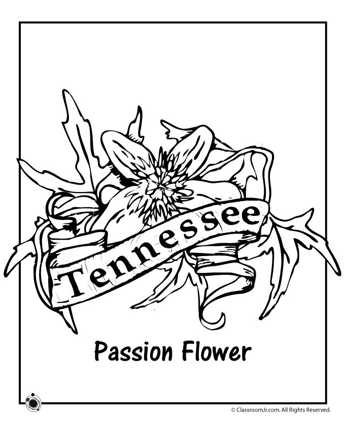 Tennessee state flower coloring page woo jr kids activities childrens publishing flower coloring pages coloring pages free coloring pages