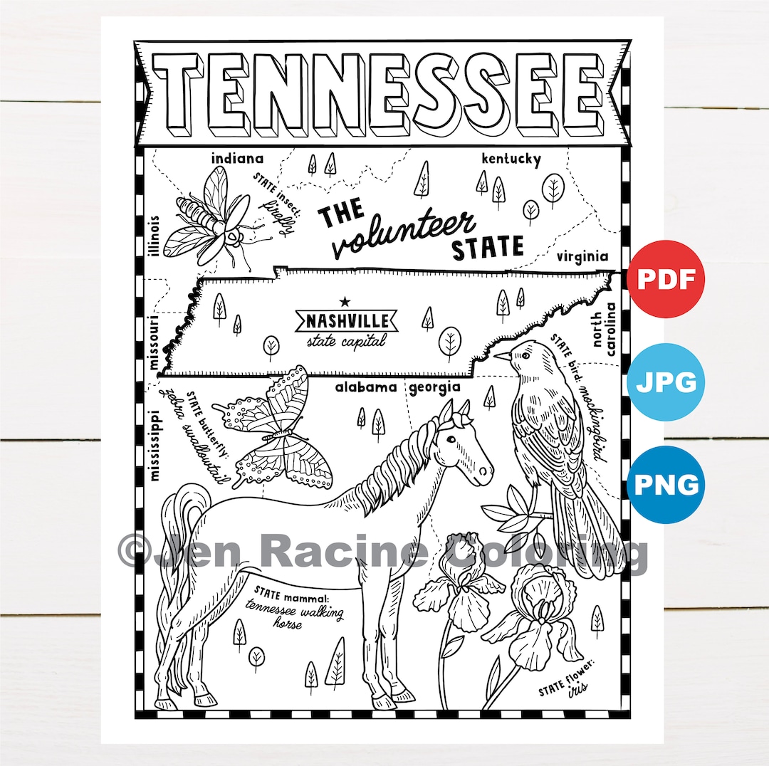 Tennessee coloring page united states state map wildlife state symbols flowers coloring pages